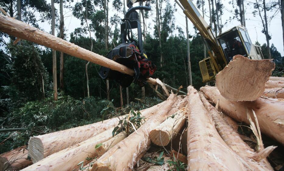 伐木挖掘�?.jpg 伐木挖掘�?.jpg